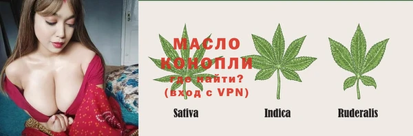 Альфа ПВП Аркадак