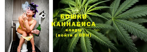 соль ск Белокуриха